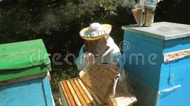 养蜂人在蜂群里工作的蜂群飞行多彩蜂窝慢动作<strong>视频</strong>。 <strong>蜜蜂</strong>制造者的生活方式
