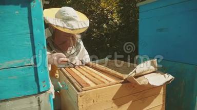 养蜂人工作生活方式中的蜂群飞行多彩蜂窝慢动作<strong>视频</strong>。 <strong>蜜蜂</strong>制造者
