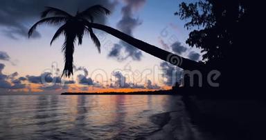 美丽的日出视频在热带岛屿海滩巴瓦罗。 多米尼加共和国蓬塔卡纳度假村