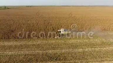 收割机收割玉米. 在联合收割机的帮助下收集玉米芯。 田间的熟玉米。