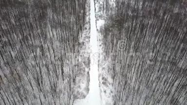 冬季森林<strong>积雪覆盖</strong>的道路，俯视