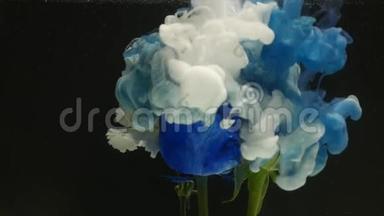 令人惊讶的是，一朵美丽的蓝色玫瑰与水中的墨水混合在一起