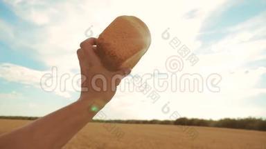 人拿着一个金色的面包在麦田里顶着蓝天.. 慢动作视频。 成功的农业学家