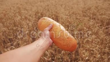 人类在麦田里拿着一条面包。慢动作<strong>视频</strong>。 小麦生活方式领域的成功农学家。 收获<strong>时间</strong>
