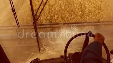 从第一人称出发，从联合沙龙的角度出发，将田间收获与小麦结合起来
