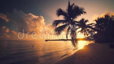 日出海景和热带岛屿海滩，棕榈树。 多米尼加共和国