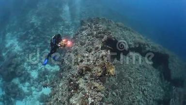 摄影师<strong>潜水员</strong>在红海深处的珊瑚水下游泳。