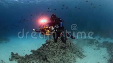 摄影师<strong>潜水</strong>员在红海的水下游泳。