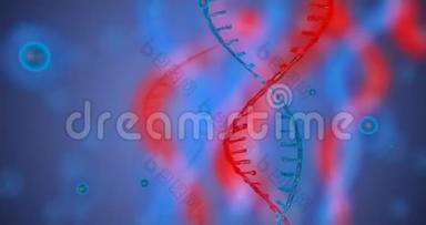 具有景深的抽象闪光<strong>DNA</strong>双<strong>螺旋</strong>.. 来自debrises的<strong>DNA</strong>构建动画。 科学动画