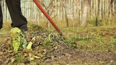 女人正在用耙子工具清理花园里的杂草。 慢动作