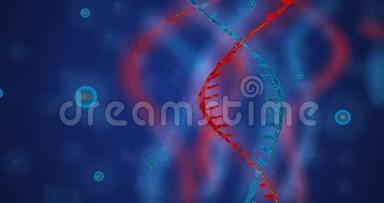具有景深的抽象闪光<strong>DNA双螺旋</strong>.. 来自debrises的<strong>DNA</strong>构建动画。 科学动画