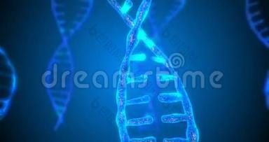 具有景深的抽象闪光DNA双螺旋.. 来自debrises的DNA构建动画。 科学动画