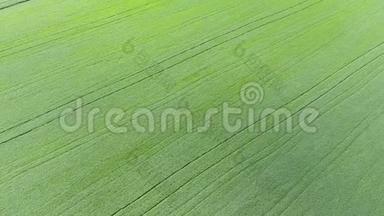 麦田的质地.. 田间幼嫩绿色小麦的背景.. 四架直升机的照片。 航空照片