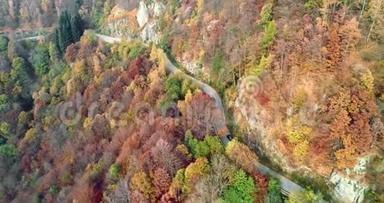 在五彩缤纷的秋林中，前方的空中<strong>俯视</strong>着在路上行驶的汽<strong>车</strong>。 秋天的橙色，绿色，黄色的红色树林