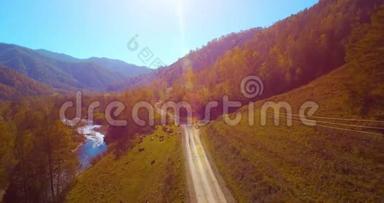 在阳光明媚的<strong>夏日</strong>早晨，中气飞越新鲜的山河和草地。 农村土路下面.. 奶牛和<strong>汽车</strong>。