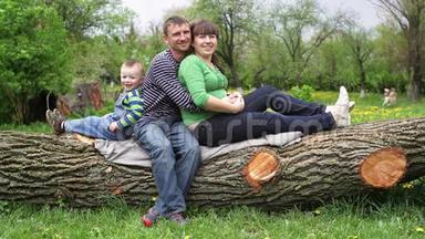 一家人坐在树上