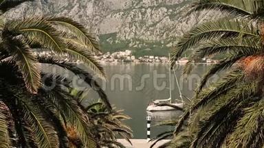 黑山亚得里亚海Kotor湾的游艇、船只和船只