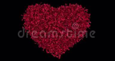 浪漫的红玫瑰花花瓣在心形阿尔法马特环4k