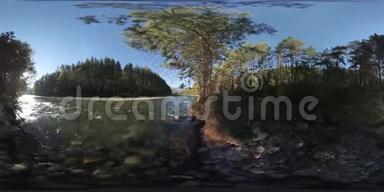 4K360VR虚拟现实河流在这片美丽的森林中的岩石上流动
