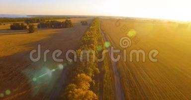 超高清4K鸟瞰图.. 绿色和黄色麦田和树木线的低空飞行