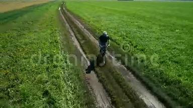 年轻人骑自行车在乡村公路上穿过绿色和黄色的田野。