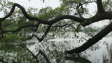 树木倒映入湖中.