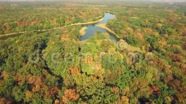 秋天森林中河流的鸟瞰图