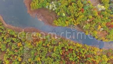 秋天森林中河流的鸟瞰图