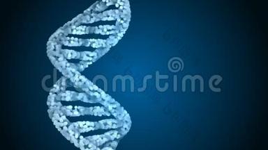 DNA密码。 摘要三维多角形线架DNA。