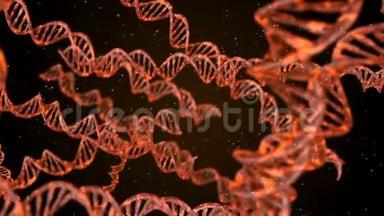 DNA密码。 摘要三维多角形线架DNA。