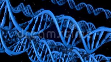 DNA密码飞了进来。 摘要三维多角形线架DNA DNA代码。 摘要三维多角形线架DNA。 循环动画