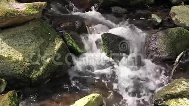河流流过原始森林中的巨石