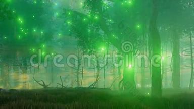 神奇的森林在雾蒙蒙的夜晚4K