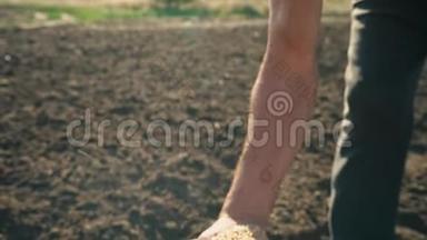 土地背景上<strong>农民</strong>手中的<strong>粮食</strong>，小麦是从地里人的手指里倒出来的