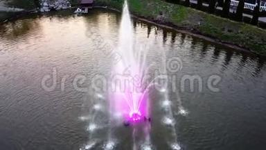 喷泉在<strong>春</strong>天的傍晚用粉红色的灯光照明，鸭子在附近游泳，草地和圣诞树<strong>周</strong>围。 空中射击