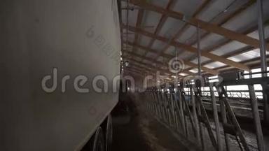 农场饲料机的特写。 录像。 饲料卡车在谷仓卸下牲畜饲料。 农业和牲畜护理