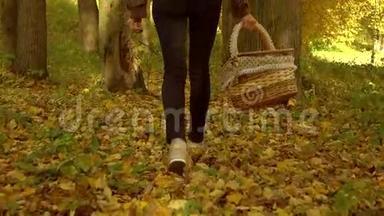 瘦女孩走在落叶上，穿过秋天的森林，拿着一个野餐篮。 慢动作稳定射击