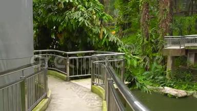 在热带有瀑布和长长的走道的鸟公园里拍摄的一张照片