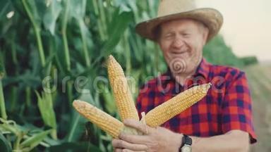 快乐的农夫在镜头4K上展示了<strong>丰收</strong>的玉米