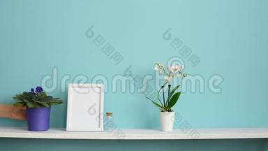 现代客房装饰与相框模型。 用盆栽兰花和手插做的白色架子搭在粉绿色墙上