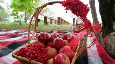 装满苹果和活力的篮子，秋季礼物特写，秋季森林的万圣节准备