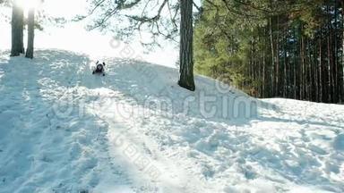 快乐的孩子在阳光下滑下雪橇，男孩滑下山坡，雪橇在雪地里飞驰，速度很快