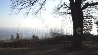 伦敦附近的英国乡村。 早春山榉木.. 复制空间背景。 有长凳的老树。 山谷的景色