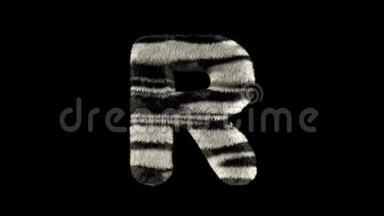 斑马动物园动画图片字体R
