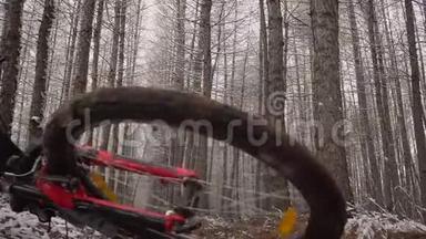 冬天木头里的自行车躺在一边。 自行车轮在地球上转动。 冬木里的红色自行车..