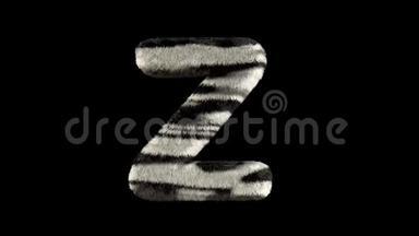 动物图片动画斑马动物园文字字体Z