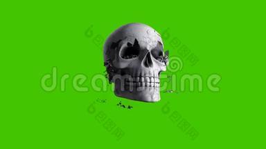 一个古老的人类头骨<strong>塌陷</strong>成小的尘土碎片。 绿色屏幕前的VFX动画。