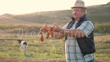 快乐的成年农夫微笑着看着镜头，手里拿着香肠，手里拿着一群奶牛在农场的<strong>牛棚</strong>里。 农业