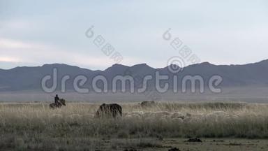 蒙古风景中的游牧民族