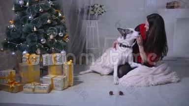 年轻女子在圣诞树上和她的狗<strong>玩乐</strong>。